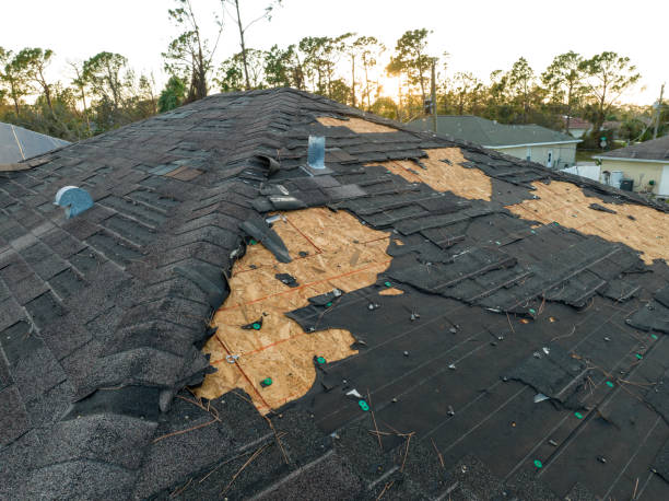 Best Roof Leak Repair  in Versailles, IN